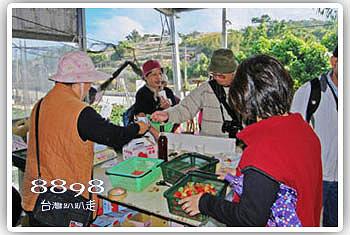 大湖草莓‧榮貴草莓園