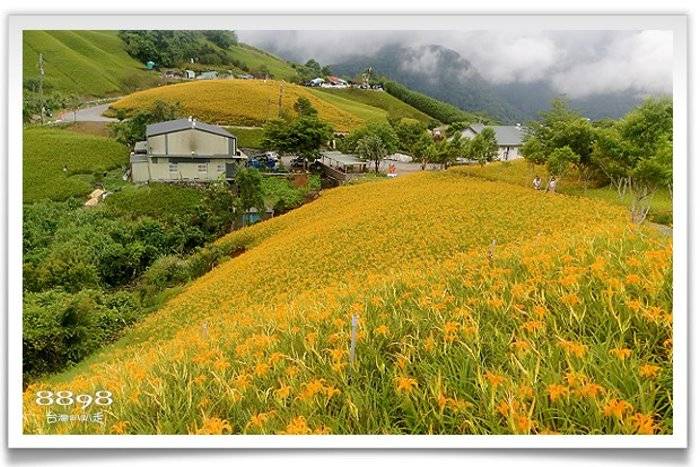 六十石山民宿．德森有機農莊